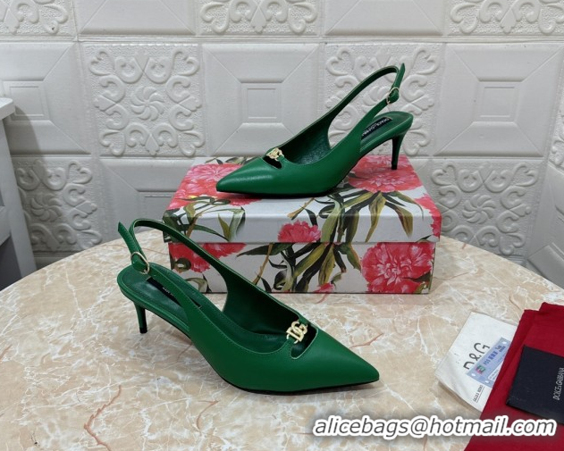Grade Quality Dolce & Gabbana Lollo Nappa Leather slingbacks Pump 6.5cm DG121106 Green 2026