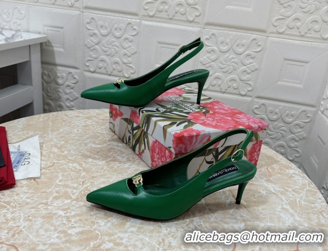 Grade Quality Dolce & Gabbana Lollo Nappa Leather slingbacks Pump 6.5cm DG121106 Green 2026