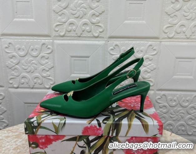 Grade Quality Dolce & Gabbana Lollo Nappa Leather slingbacks Pump 6.5cm DG121106 Green 2026