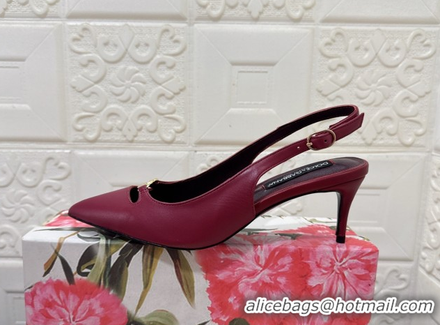 Unique Style Dolce & Gabbana Lollo Nappa Leather slingbacks Pump 6.5cm DG121106 Dark Burgundy 2026