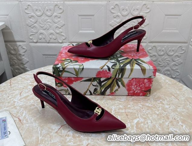 Unique Style Dolce & Gabbana Lollo Nappa Leather slingbacks Pump 6.5cm DG121106 Dark Burgundy 2026