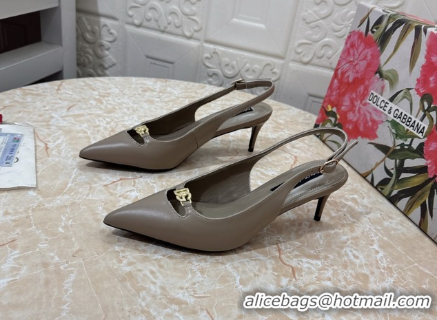 Durable Dolce & Gabbana Lollo Nappa Leather slingbacks Pump 6.5cm DG121106 Grey 2026