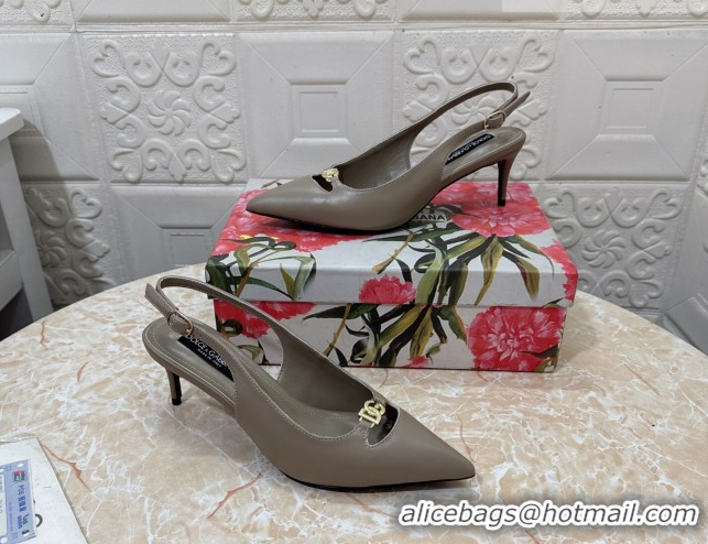 Durable Dolce & Gabbana Lollo Nappa Leather slingbacks Pump 6.5cm DG121106 Grey 2026