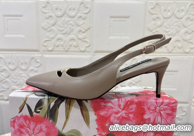 Durable Dolce & Gabbana Lollo Nappa Leather slingbacks Pump 6.5cm DG121106 Grey 2026