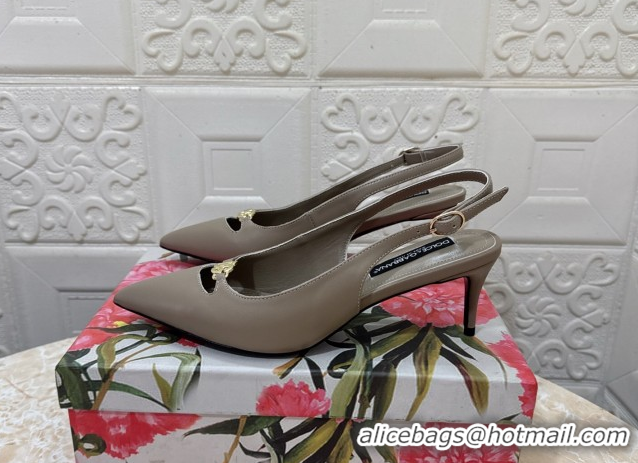 Durable Dolce & Gabbana Lollo Nappa Leather slingbacks Pump 6.5cm DG121106 Grey 2026