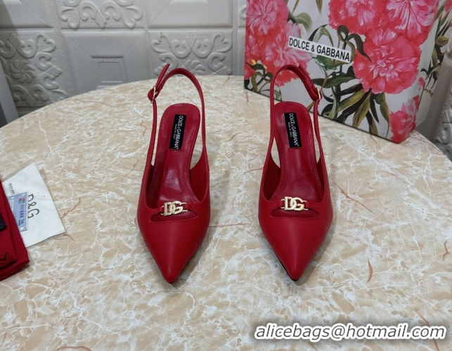 Luxury Dolce & Gabbana Lollo Nappa Leather slingbacks Pump 6.5cm DG121106 Red 2026