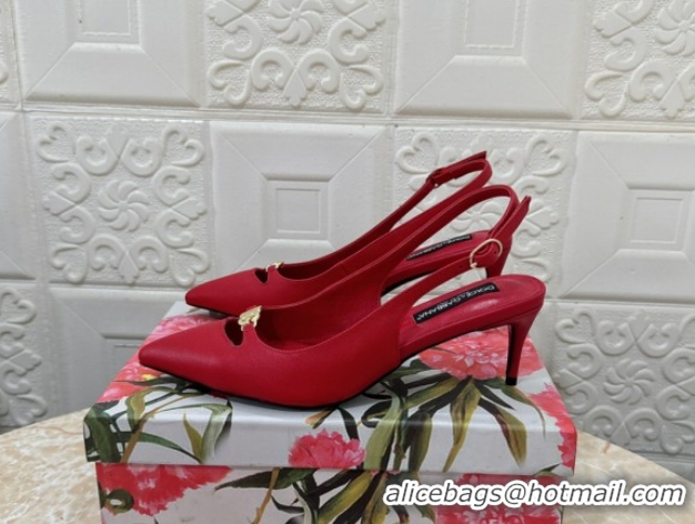 Luxury Dolce & Gabbana Lollo Nappa Leather slingbacks Pump 6.5cm DG121106 Red 2026