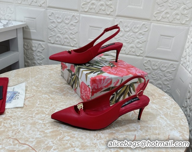 Luxury Dolce & Gabbana Lollo Nappa Leather slingbacks Pump 6.5cm DG121106 Red 2026
