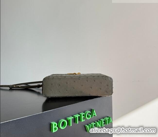Well Crafted Bottega Veneta Bang Bang Vanity Case Bag in Ostrich Leather 817785 Cypress Green 2026