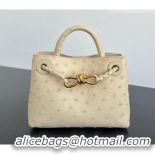 Market Sells Bottega Veneta Mini Andiamo Top Handle Bag in Ostrich Leather 805232 Pale Cream Yellow 2026