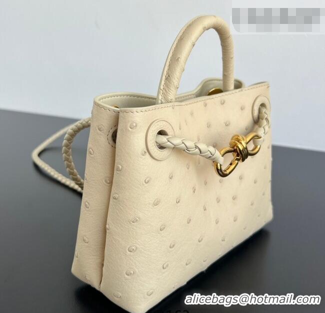 Market Sells Bottega Veneta Mini Andiamo Top Handle Bag in Ostrich Leather 805232 Pale Cream Yellow 2026