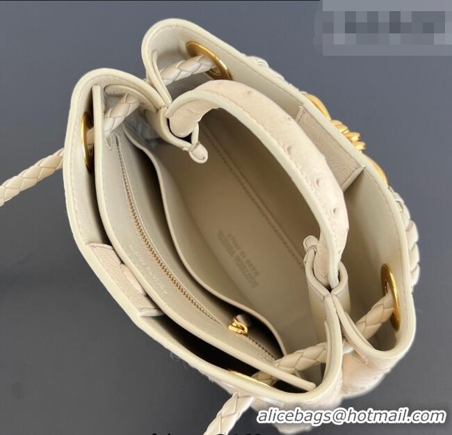 Market Sells Bottega Veneta Mini Andiamo Top Handle Bag in Ostrich Leather 805232 Pale Cream Yellow 2026
