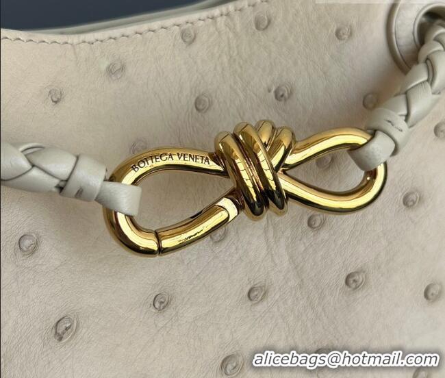 Market Sells Bottega Veneta Mini Andiamo Top Handle Bag in Ostrich Leather 805232 Pale Cream Yellow 2026