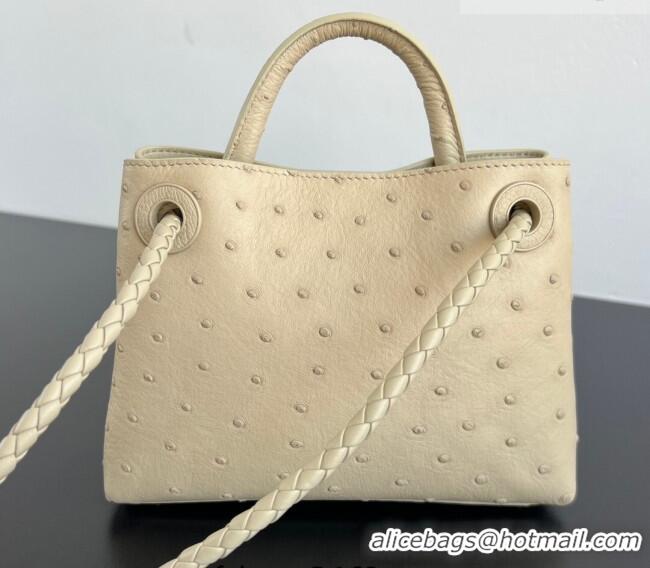 Market Sells Bottega Veneta Mini Andiamo Top Handle Bag in Ostrich Leather 805232 Pale Cream Yellow 2026