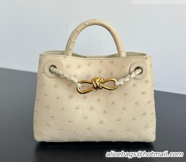 Market Sells Bottega Veneta Mini Andiamo Top Handle Bag in Ostrich Leather 805232 Pale Cream Yellow 2026