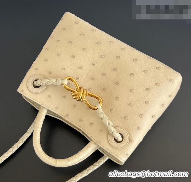 Market Sells Bottega Veneta Mini Andiamo Top Handle Bag in Ostrich Leather 805232 Pale Cream Yellow 2026