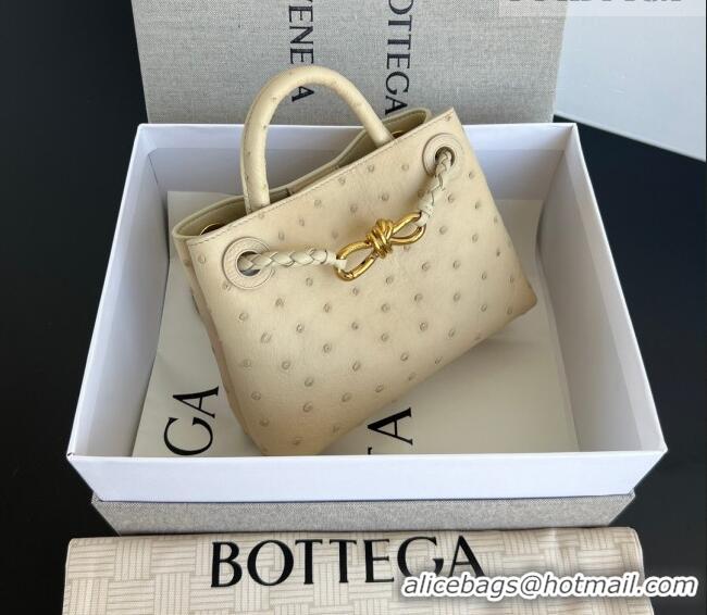 Market Sells Bottega Veneta Mini Andiamo Top Handle Bag in Ostrich Leather 805232 Pale Cream Yellow 2026