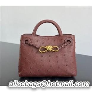 Well Crafted Bottega Veneta Mini Andiamo Top Handle Bag in Ostrich Leather 805232 Sapele Red 2026