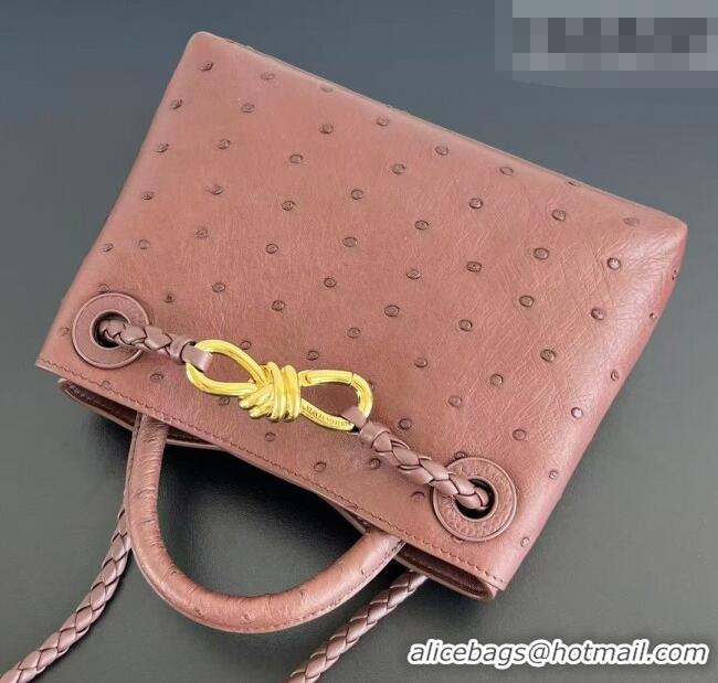 Well Crafted Bottega Veneta Mini Andiamo Top Handle Bag in Ostrich Leather 805232 Sapele Red 2026