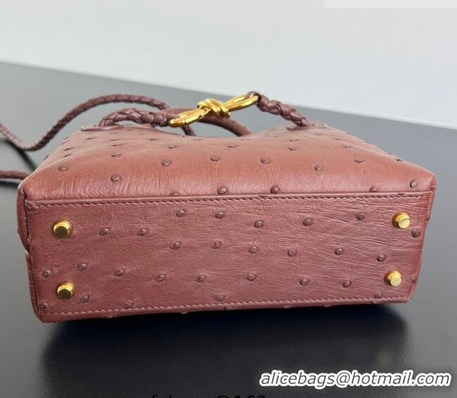 Well Crafted Bottega Veneta Mini Andiamo Top Handle Bag in Ostrich Leather 805232 Sapele Red 2026