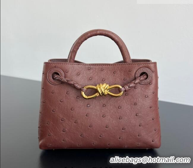 Well Crafted Bottega Veneta Mini Andiamo Top Handle Bag in Ostrich Leather 805232 Sapele Red 2026