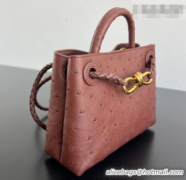 Well Crafted Bottega Veneta Mini Andiamo Top Handle Bag in Ostrich Leather 805232 Sapele Red 2026