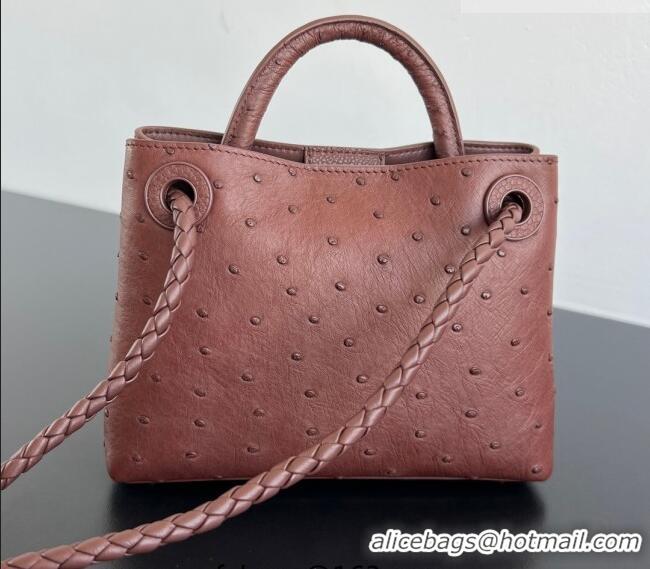 Well Crafted Bottega Veneta Mini Andiamo Top Handle Bag in Ostrich Leather 805232 Sapele Red 2026