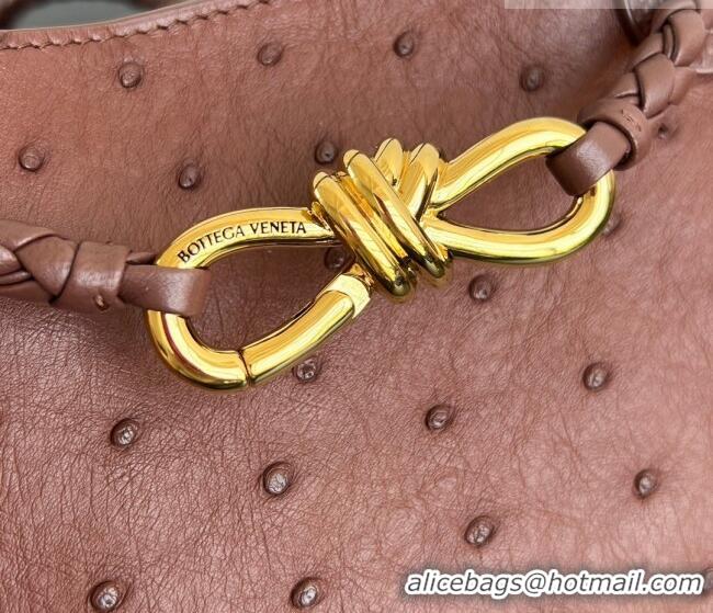 Well Crafted Bottega Veneta Mini Andiamo Top Handle Bag in Ostrich Leather 805232 Sapele Red 2026