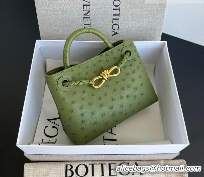 Best Price Bottega Veneta Mini Andiamo Top Handle Bag in Ostrich Leather 805232 Deep Brown 2026