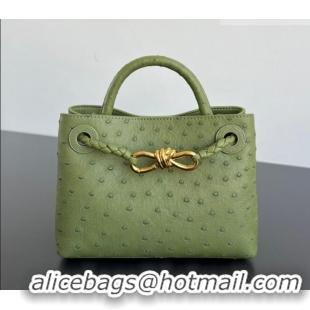 Buy Fashionable Bottega Veneta Mini Andiamo Top Handle Bag in Ostrich Leather 805232 Matcha Green 2026
