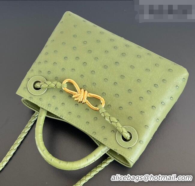 Buy Fashionable Bottega Veneta Mini Andiamo Top Handle Bag in Ostrich Leather 805232 Matcha Green 2026
