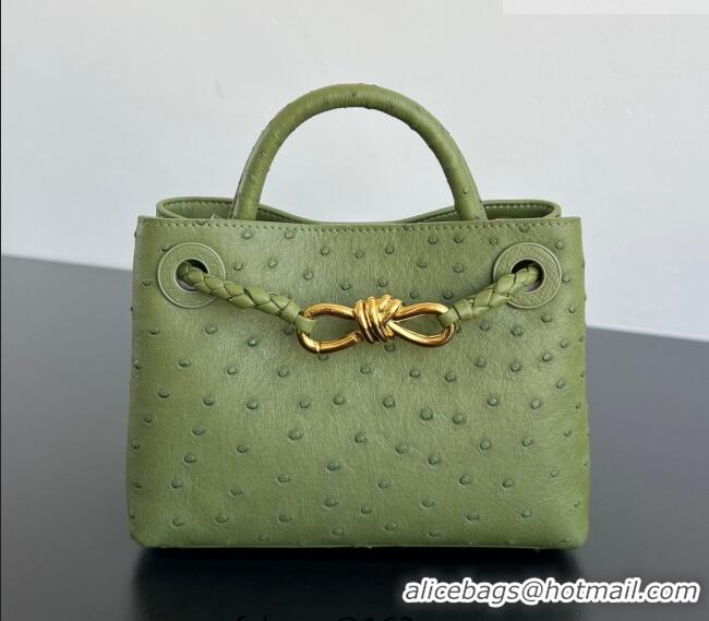Buy Fashionable Bottega Veneta Mini Andiamo Top Handle Bag in Ostrich Leather 805232 Matcha Green 2026