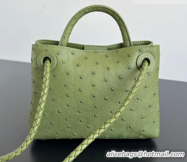 Buy Fashionable Bottega Veneta Mini Andiamo Top Handle Bag in Ostrich Leather 805232 Matcha Green 2026
