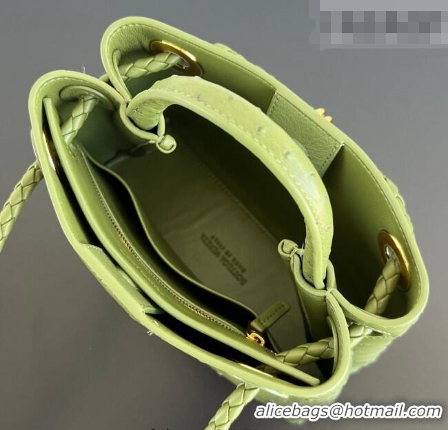 Buy Fashionable Bottega Veneta Mini Andiamo Top Handle Bag in Ostrich Leather 805232 Matcha Green 2026
