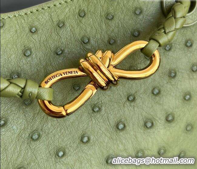 Buy Fashionable Bottega Veneta Mini Andiamo Top Handle Bag in Ostrich Leather 805232 Matcha Green 2026