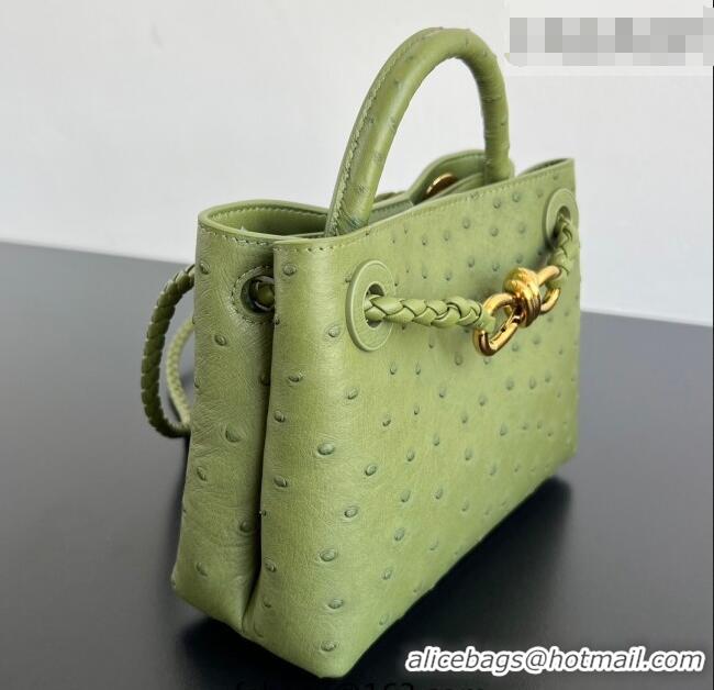 Buy Fashionable Bottega Veneta Mini Andiamo Top Handle Bag in Ostrich Leather 805232 Matcha Green 2026