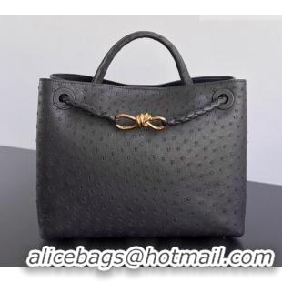 Best Quality Bottega Veneta Medium Andiamo Top Handle Bag in Ostrich Leather 817805 Deep Brown 2026