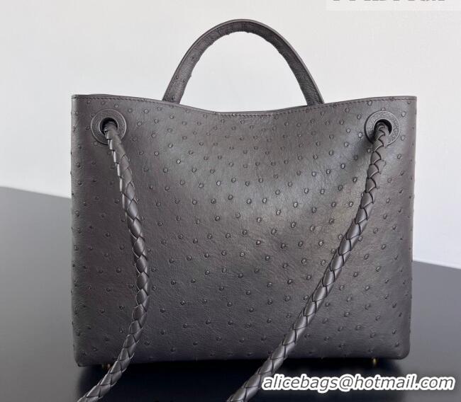 Best Quality Bottega Veneta Medium Andiamo Top Handle Bag in Ostrich Leather 817805 Deep Brown 2026