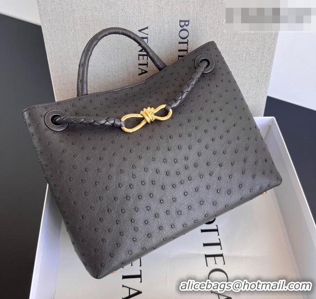 Best Quality Bottega Veneta Medium Andiamo Top Handle Bag in Ostrich Leather 817805 Deep Brown 2026