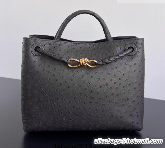 Best Quality Bottega Veneta Medium Andiamo Top Handle Bag in Ostrich Leather 817805 Deep Brown 2026