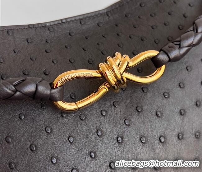 Best Quality Bottega Veneta Medium Andiamo Top Handle Bag in Ostrich Leather 817805 Deep Brown 2026