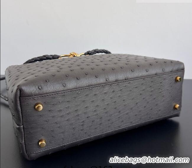 Best Quality Bottega Veneta Medium Andiamo Top Handle Bag in Ostrich Leather 817805 Deep Brown 2026