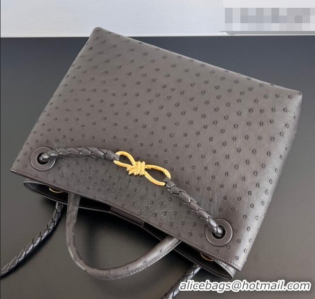 Best Quality Bottega Veneta Medium Andiamo Top Handle Bag in Ostrich Leather 817805 Deep Brown 2026