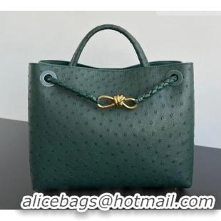 Best Price Bottega Veneta Medium Andiamo Top Handle Bag in Ostrich Leather 817805 Emerald Green 2026