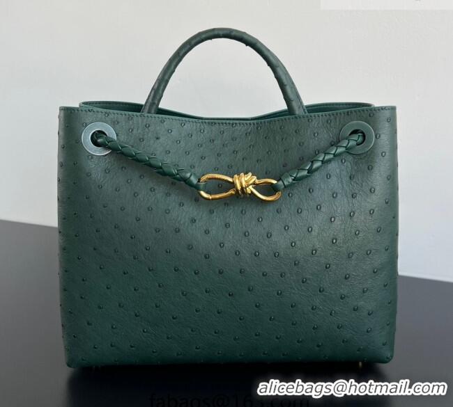Best Price Bottega Veneta Medium Andiamo Top Handle Bag in Ostrich Leather 817805 Emerald Green 2026