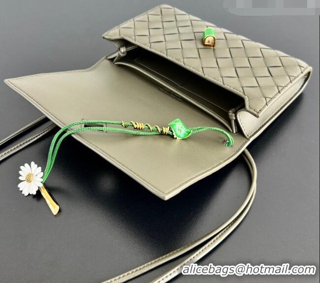 Luxury Discount Bottega Veneta Andiamo Daisy Pouch Mini Bag in Intrecciato Leather 838870 Cypress Green 2025