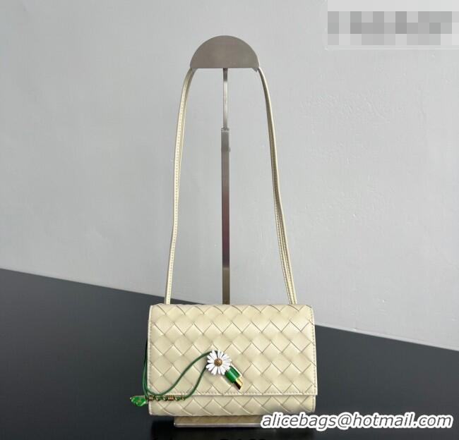 Promotional Bottega Veneta Andiamo Daisy Pouch Mini Bag in Intrecciato Leather 838870 Sea Salt 2025