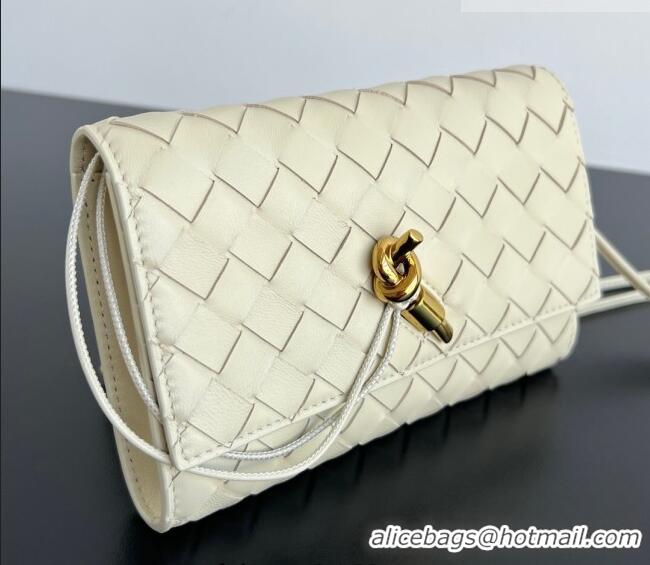 Discount Bottega Veneta Andiamo Pouch on Strap Mini Bag in Intrecciato Leather 836940 Sea Salt 2026