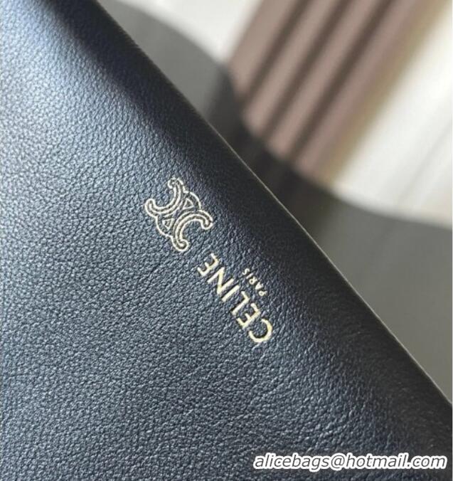 Buy Discount Celine Trio Flap Bag in Smooth Lambskin Leather 10P862 Black 2026