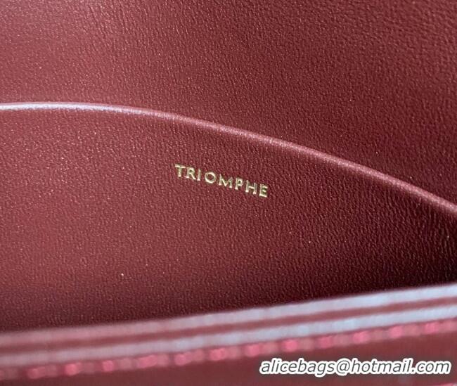 Promotional Celine Teen Triomphe Mini Bag in Shiny Calfskin Leather 188423 Burgundy 2026
